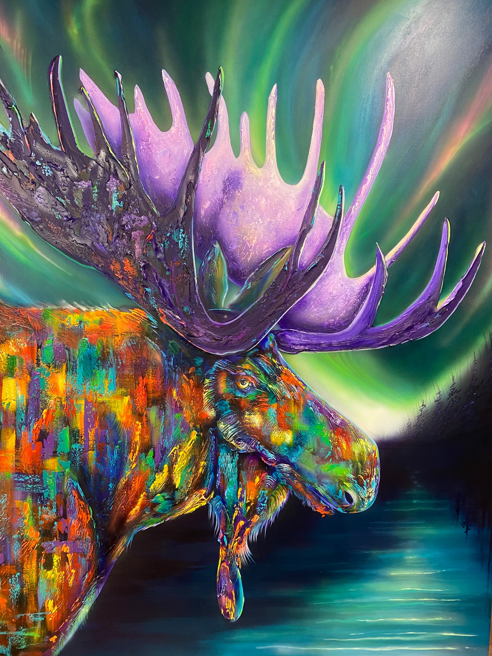 Night With Northern Lights